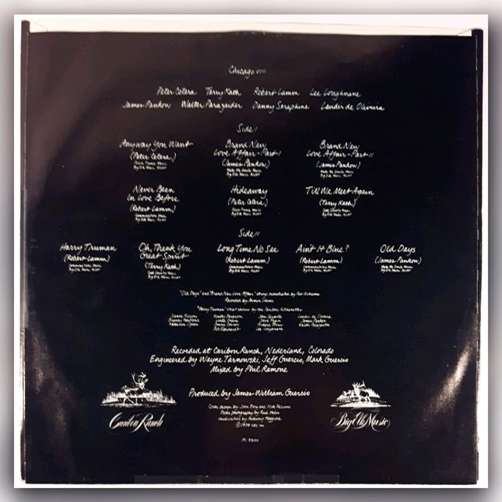 Chicago - Chicago VIII - Vinyl LP Record - Picture 3 of 6